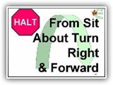 39. HALT   From Sit   About Turn Right & Forward. The handler cues the dog to heel, turns 180 degrees to his/her right, and immediately moves forward with the dog in heel position.