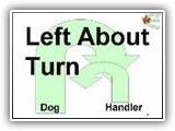 47. Left About Turn. (Turn used in schutzhund training) While moving forward with the dog in heel position, the handler does an about turn to his/her left, while the dog turns to the right, moving around the handler and back to heel position to continue moving with the handler in the new (opposite) direction. That is, the dog and handler do opposite about turns.
