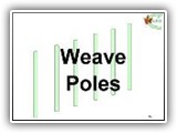 66. Weave Poles.  This station uses agility weave poles or a similar system.  The weave poles should be set eighteen (18) inches (0.45 m) to twenty four (24) inches (0.61 m) apart ***and should consist of a minimum of 6 poles.  Poles should be between three (3) feet (0.9m) and four (4) feet (1.2 m) in length (height). The station begins with the handler heeling towards the weave poles. The handler cues the dog to enter the weave poles. Entry into the weaving pattern is between the first and second poles with the first pole on the dog’s left.  Handler may cue the dog throughout the weave pattern using voice or hand signals without incurring deductions.   For this station to be considered complete, the dog must weave through all the poles.
*** *** NOTE Effective July 1st 2011 Weave poles must be set 24” apart..
Deductions No deductions for voice or hand cues when the dog is in the poles. If the dog pops out of the poles before completion, it may be cued to continue at the point with additional cue deductions.  If the dog does not enter the poles correctly it is an NQ
