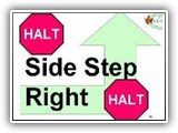 22. HALT   Side Step Right   HALT. The team comes to a halt and the dog sits in heel position. The handler takes one side step directly to his/her right with either foot, while cueing the dog to heel. The dog must move one step to the right simultaneously with the handler, into the heel position, and sit.  The Handler then cues the dog to heel and moves forward toward the next exercise station.

Deductions:  1 to 3 point deduction shall incur for dogs that do not remain in heel position (parallel to the handler) on the side step. Failure of the dog to move with the handler in the side step results in an NQ-IP.  Failure of the dog to sit at both halts will result in an NQ – IP.
