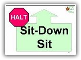 4. HALT   Sit   Down   Sit. The first part of this station is performed as described in Station 3. When the dog is lying down, the handler cues the dog to rise into a sit position. When the dog is sitting, the handler cues the dog to heel and moves toward the next exercise station. 
Deductions: Standing from the down prior to sitting is scored as a substantial deduction of 3   5 points
