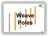 V24  Weave Poles 
 This exercise uses agility weave poles or a similar system.  The weave poles should be set eighteen (18) inches (0.45 m) to twenty four (24) inches *** (0.61 m) apart and should consist of a minimum of 6 poles.  Poles should be between three (3) feet (0.9m) and four (4) feet (1.2 m) in length (height). The exercise begins with the handler heeling towards the weave poles. The handler cues the dog to enter the weave poles. Entry into the weaving pattern is between the first and second poles with the first pole on the dog’s left.  Handler may cue the dog throughout the weave pattern using voice or hand signals without incurring deductions.   For this station to be considered complete, the dog must weave through all the poles.

*** NOTE Effective July 1st 2011 Weave poles must be set 24” apart.
 
Deductions: No deductions for voice or hand cues when the dog is in the poles. If the dog pops out of the poles before completion, it may be cued to continue at the point with additional cue deductions.  If the dog does not enter the poles correctly it is an NQ.
Handler Errors: See Appendix G
